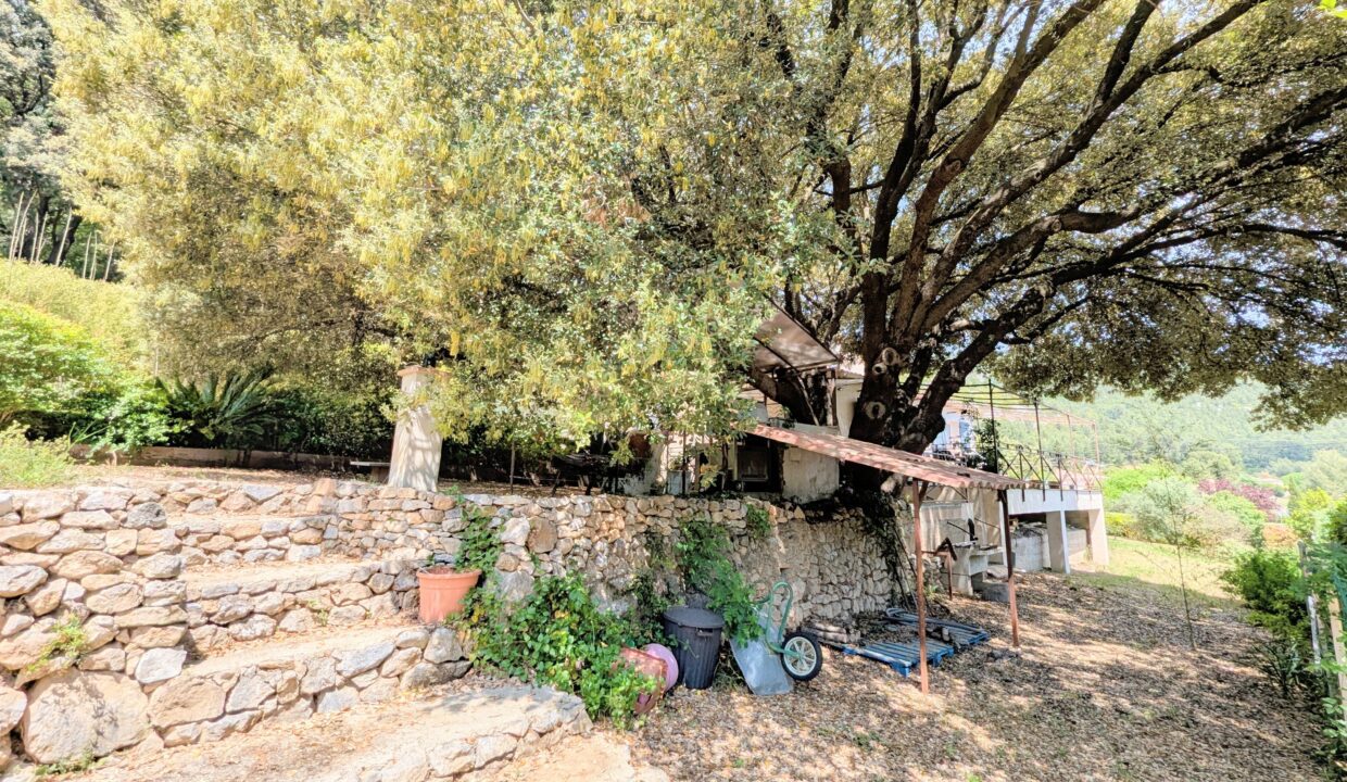 PXL_20250513_120640245.MP-EDIT